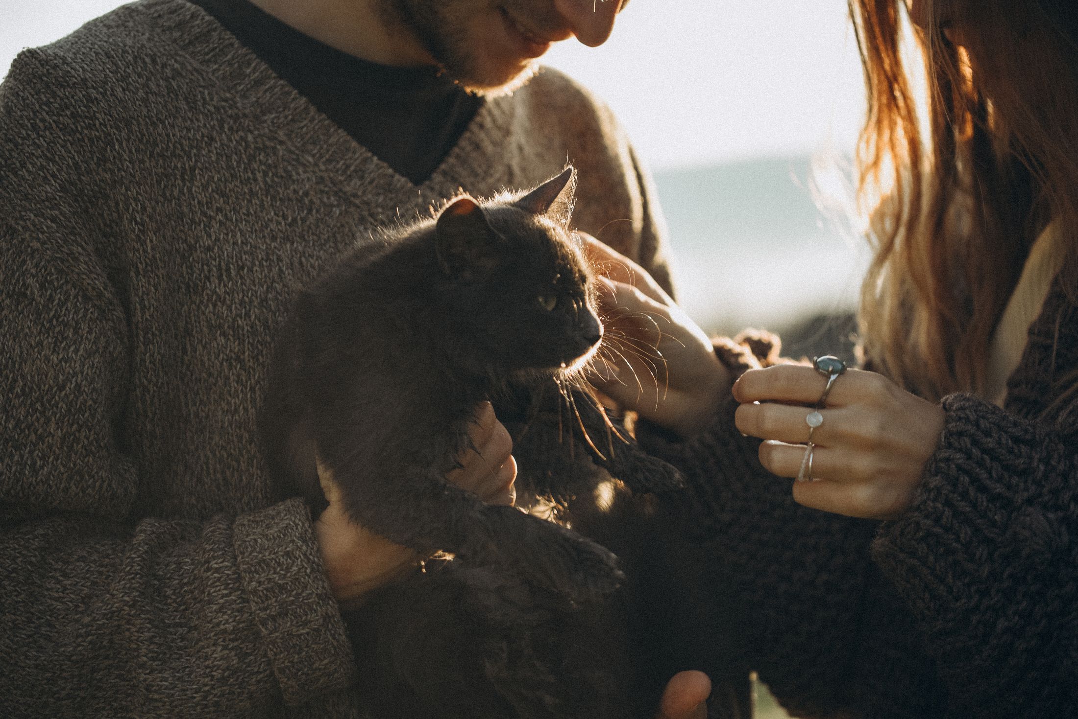 Love in the Carpathians — Wedding/Love story/Family #42