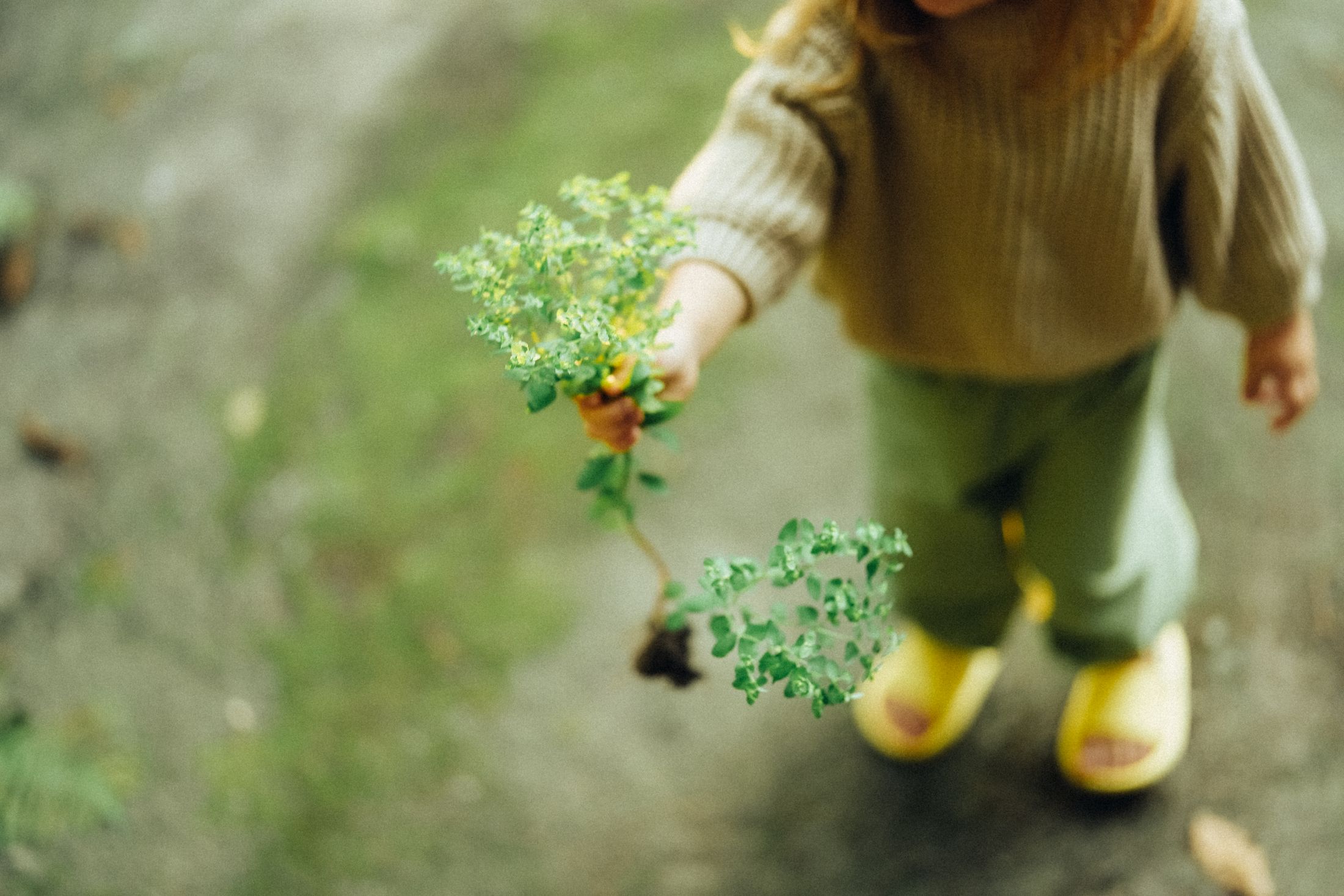 Mom with her little daughters — Wedding/Love story/Family #90