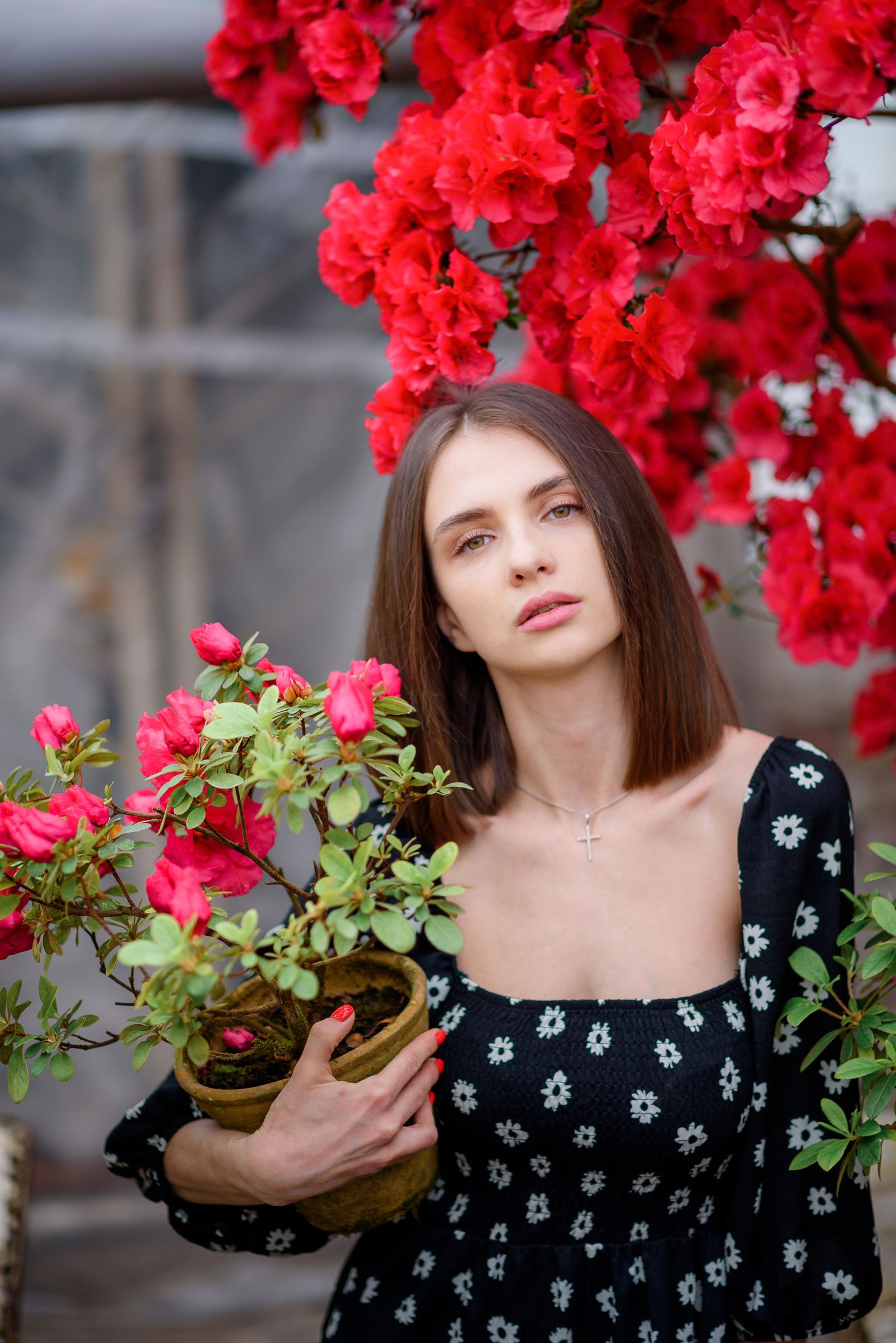 Богдана в азаліях — Весняні фотосесії #29