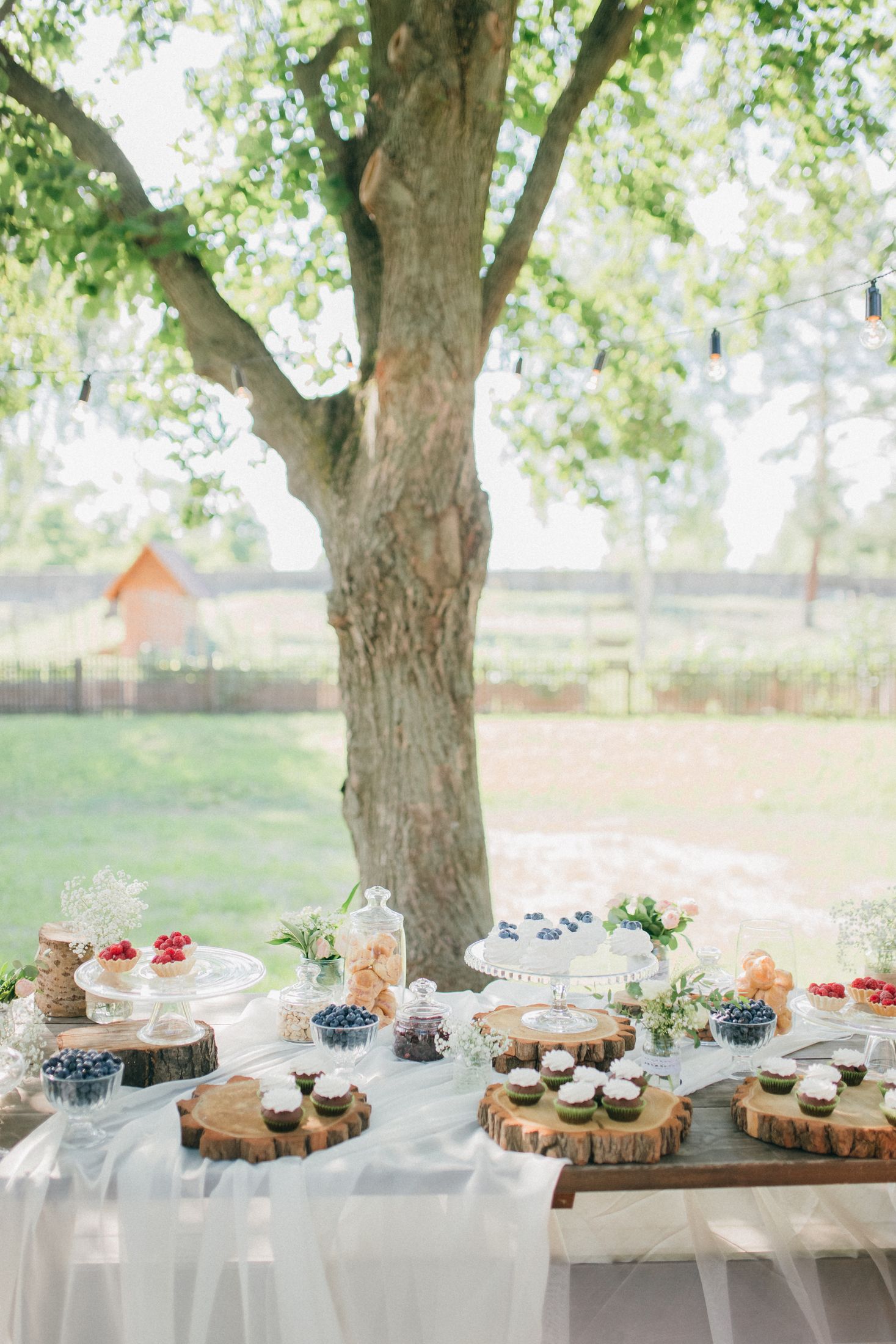 Wedding V&K — Wedding/Love story/Family #43