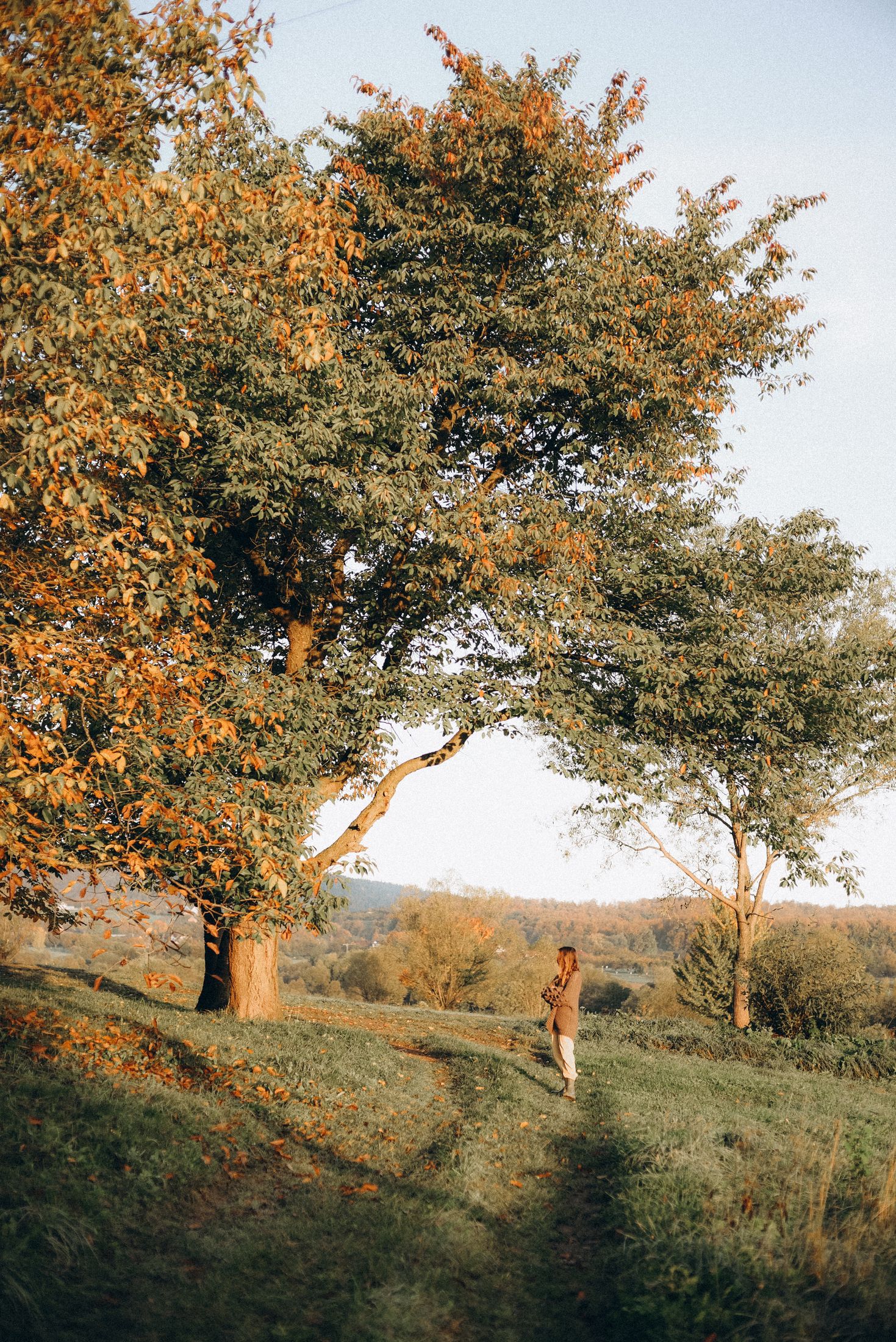 Love in the Carpathians — Wedding/Love story/Family #6