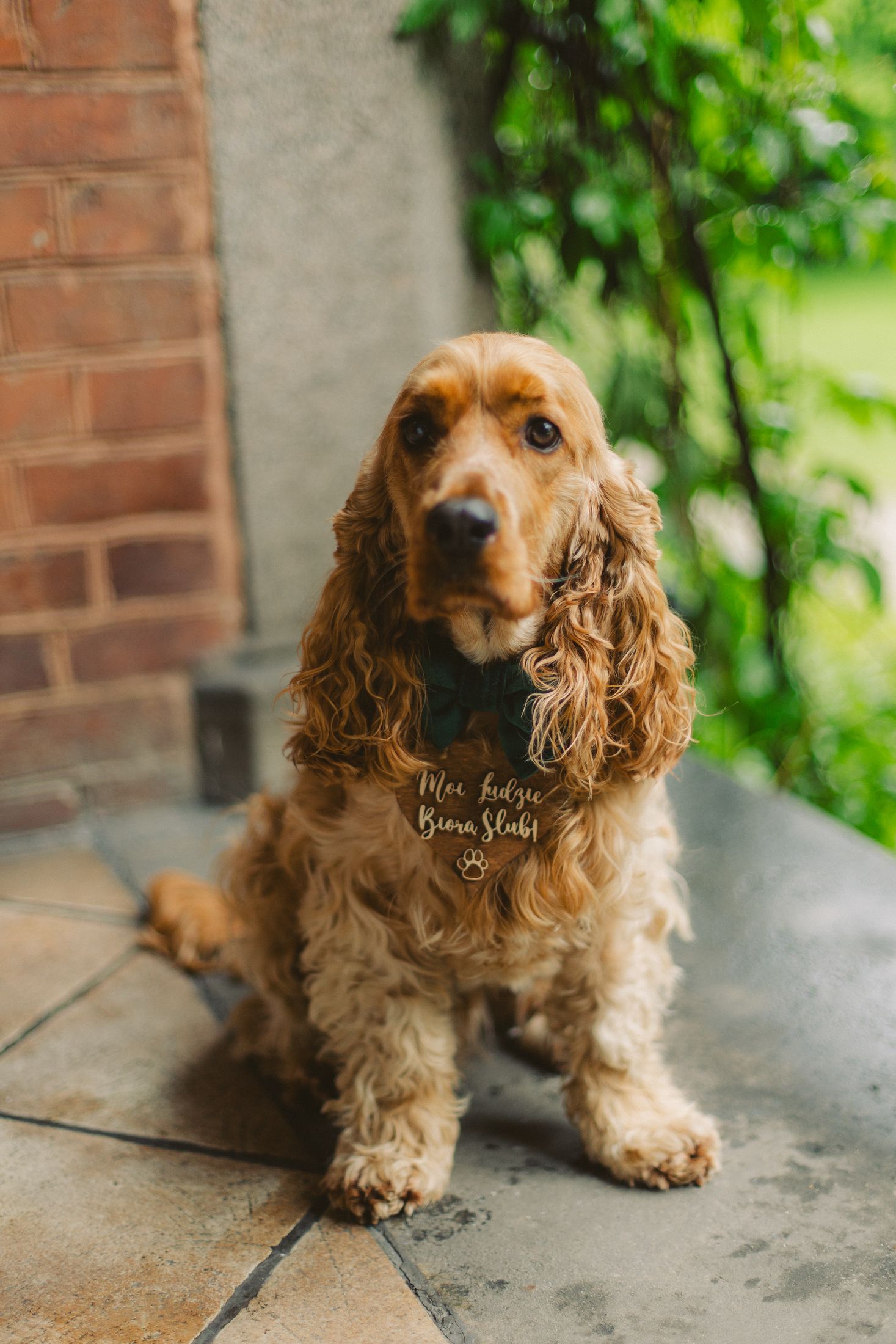 Yana&Piotr — 4. Post Wedding Photoshoot #1