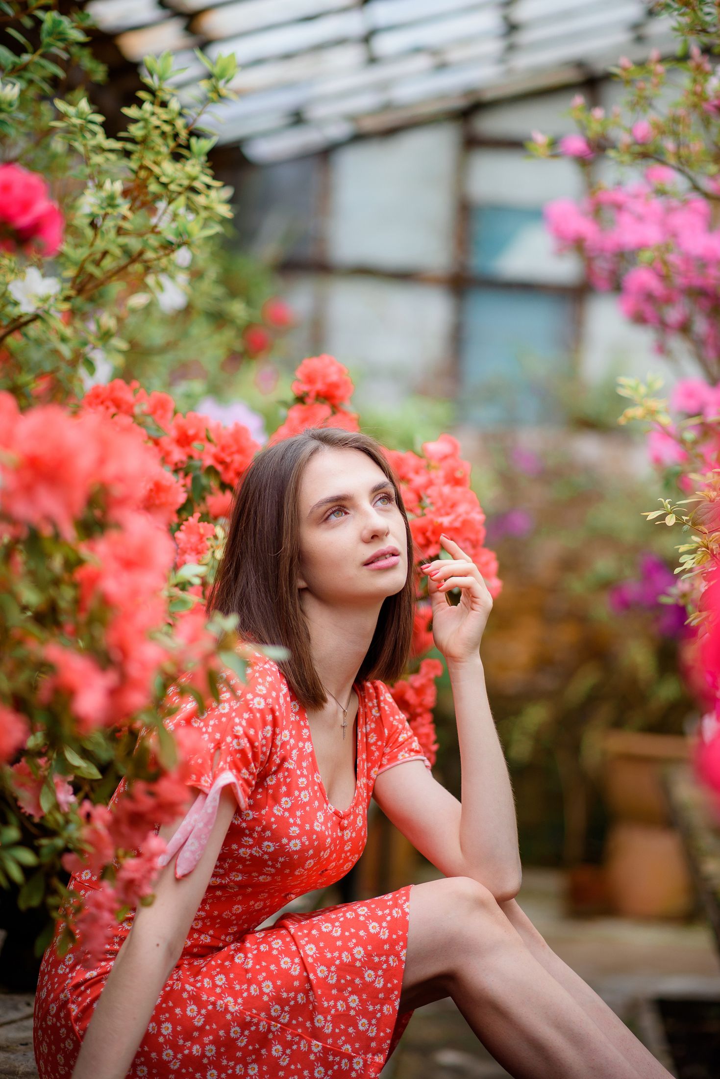 Богдана в азаліях — Весняні фотосесії #15