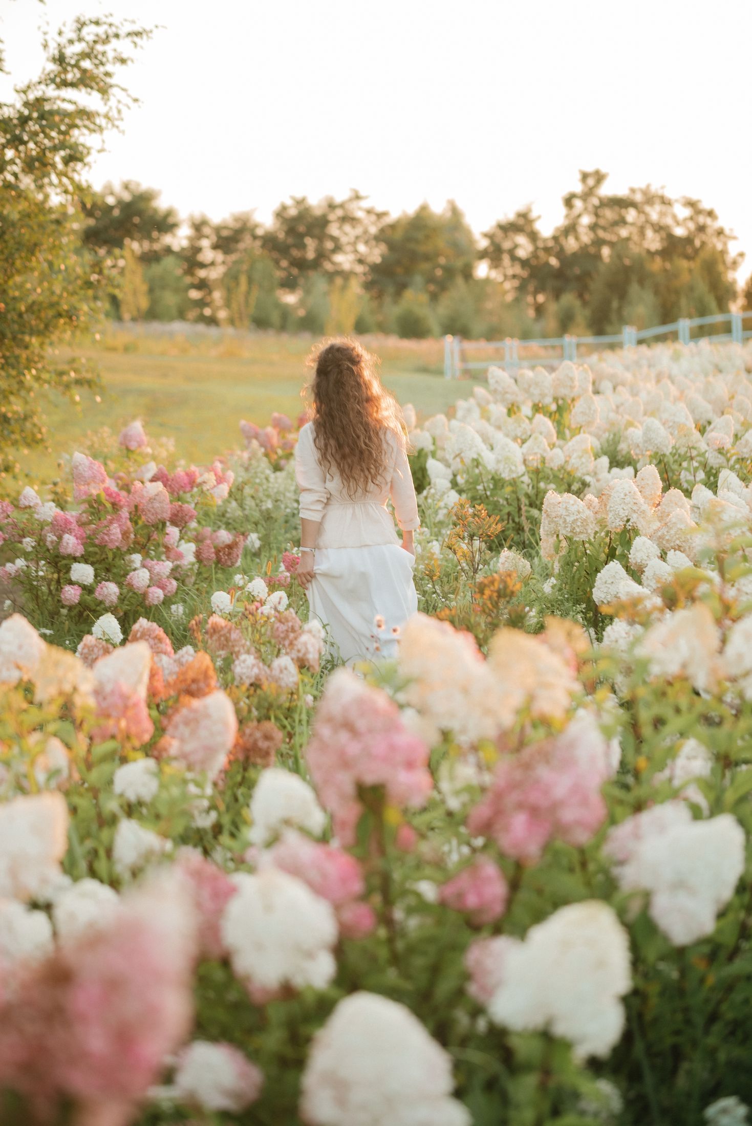 Family — Wedding/Love story/Family #62