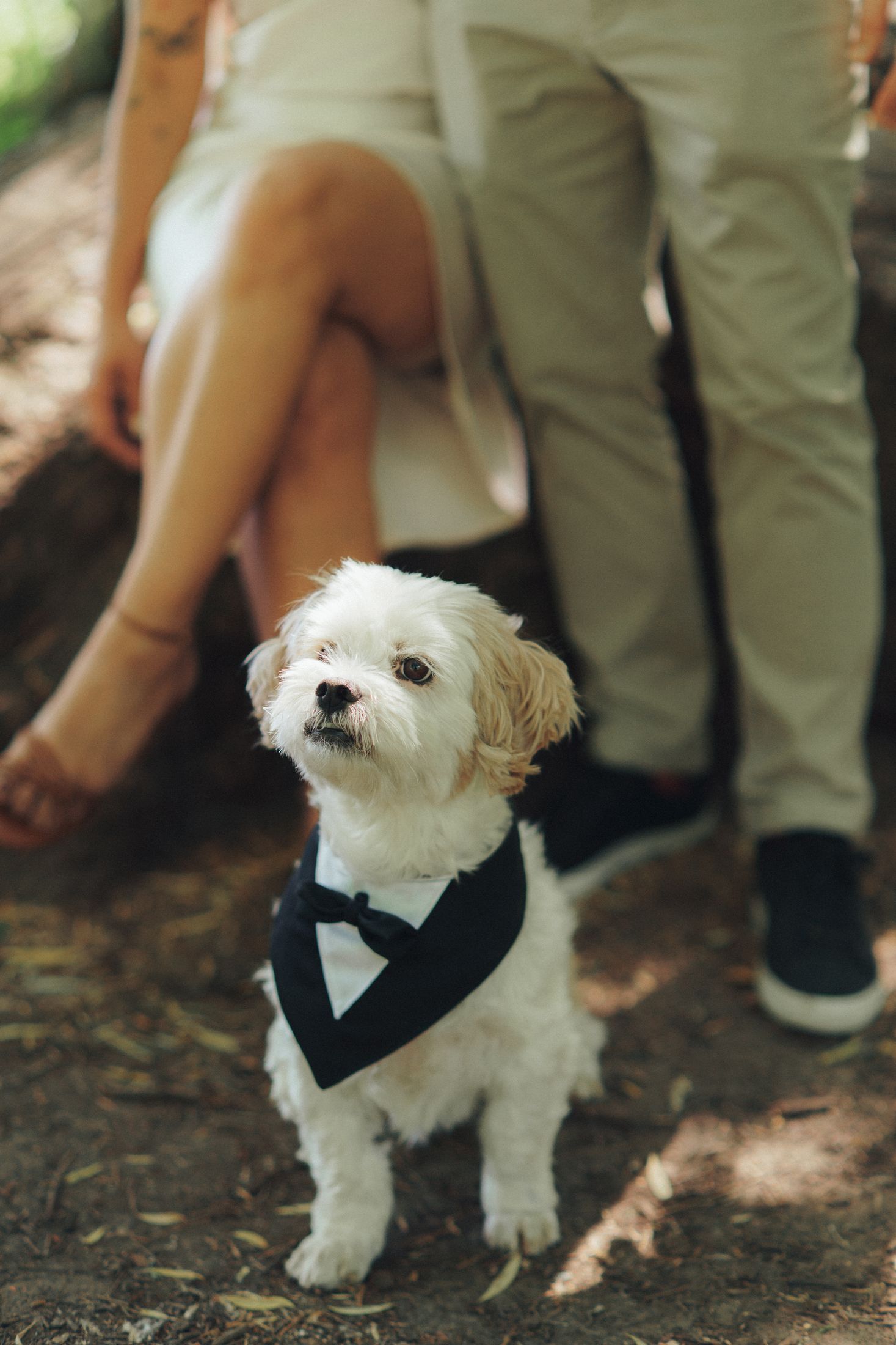 Maria&Charles | The Netherlands — 2. Wedding Medium #80