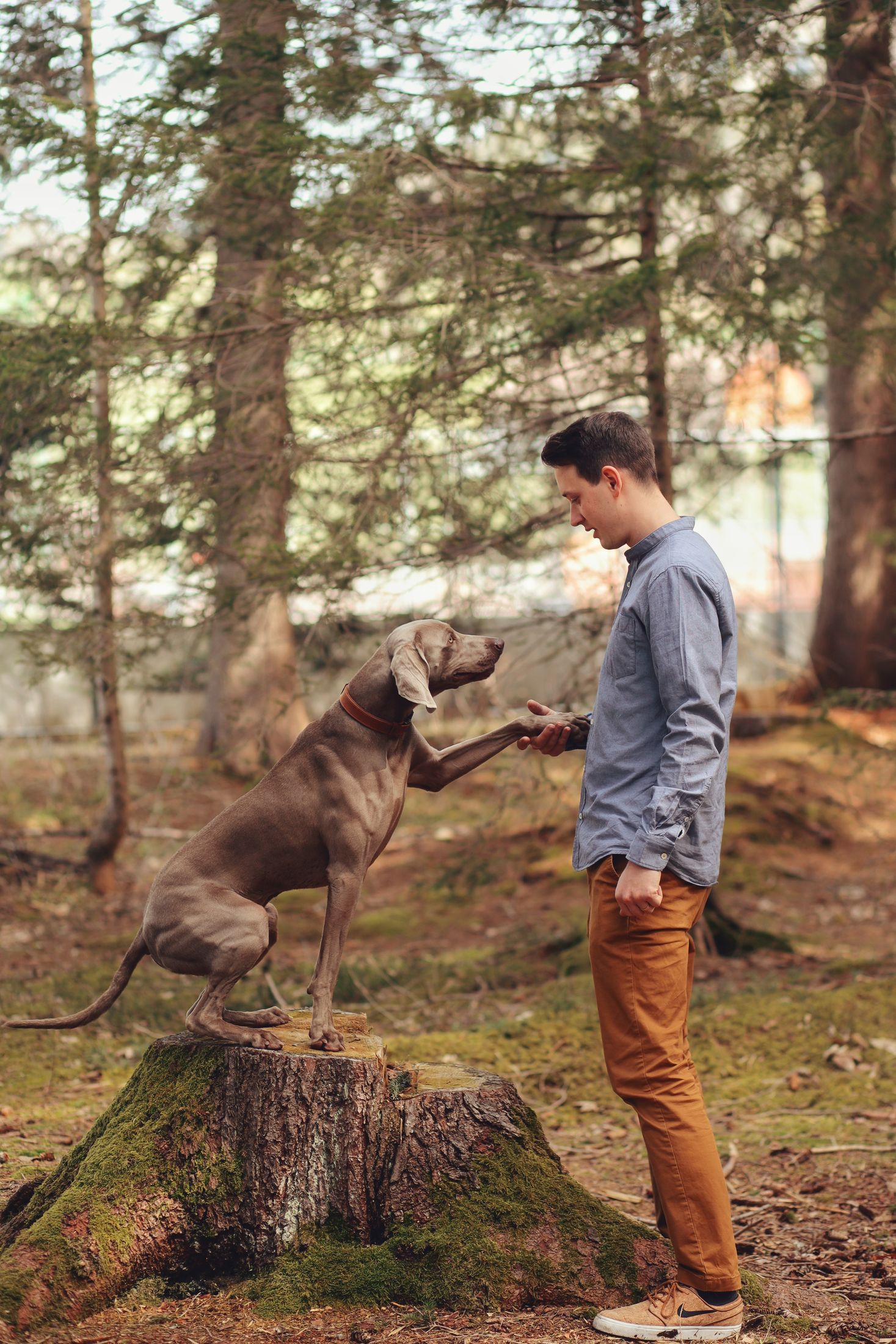Love Story #5