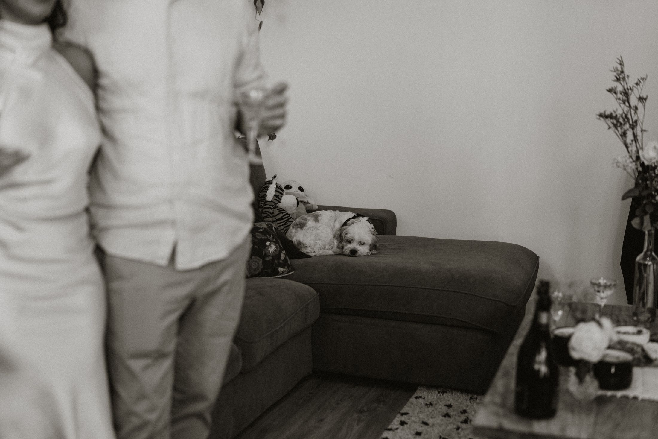 Maria&Charles | The Netherlands — 2. Wedding Medium #159