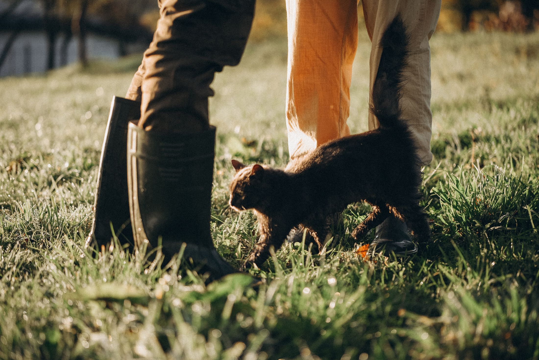 Love in the Carpathians — Wedding/Love story/Family #43