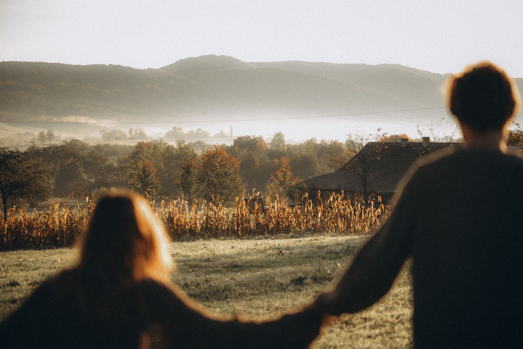 Love in the Carpathians — Wedding/Love story/Family #35