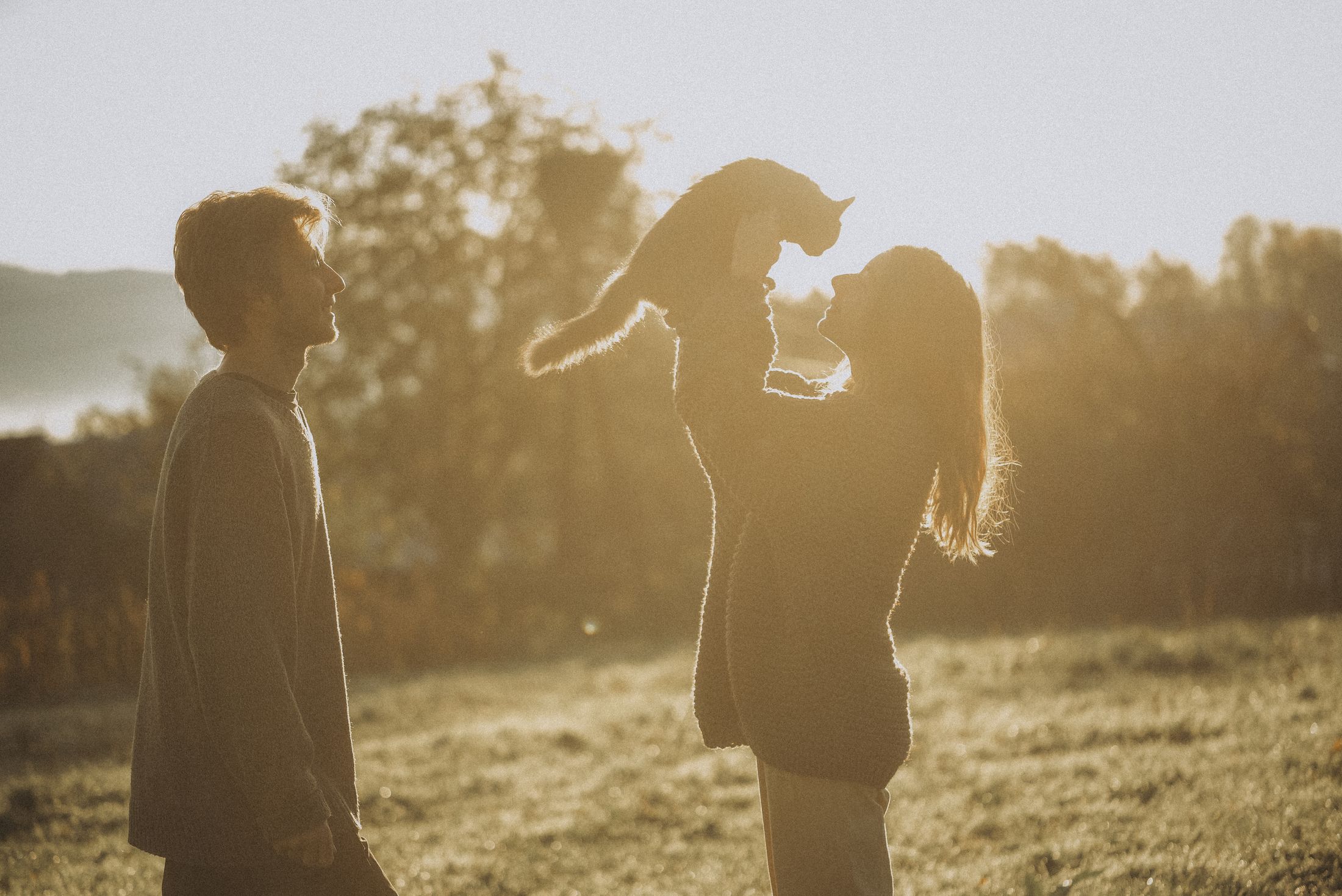 Love in the Carpathians — Wedding/Love story/Family #41