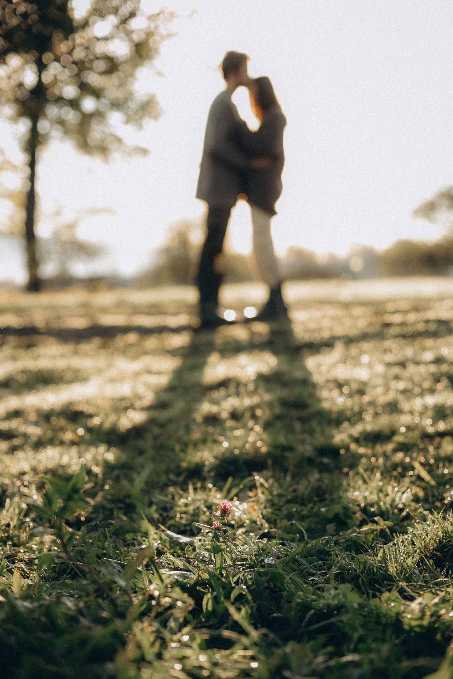 Love in the Carpathians — Wedding/Love story/Family #22