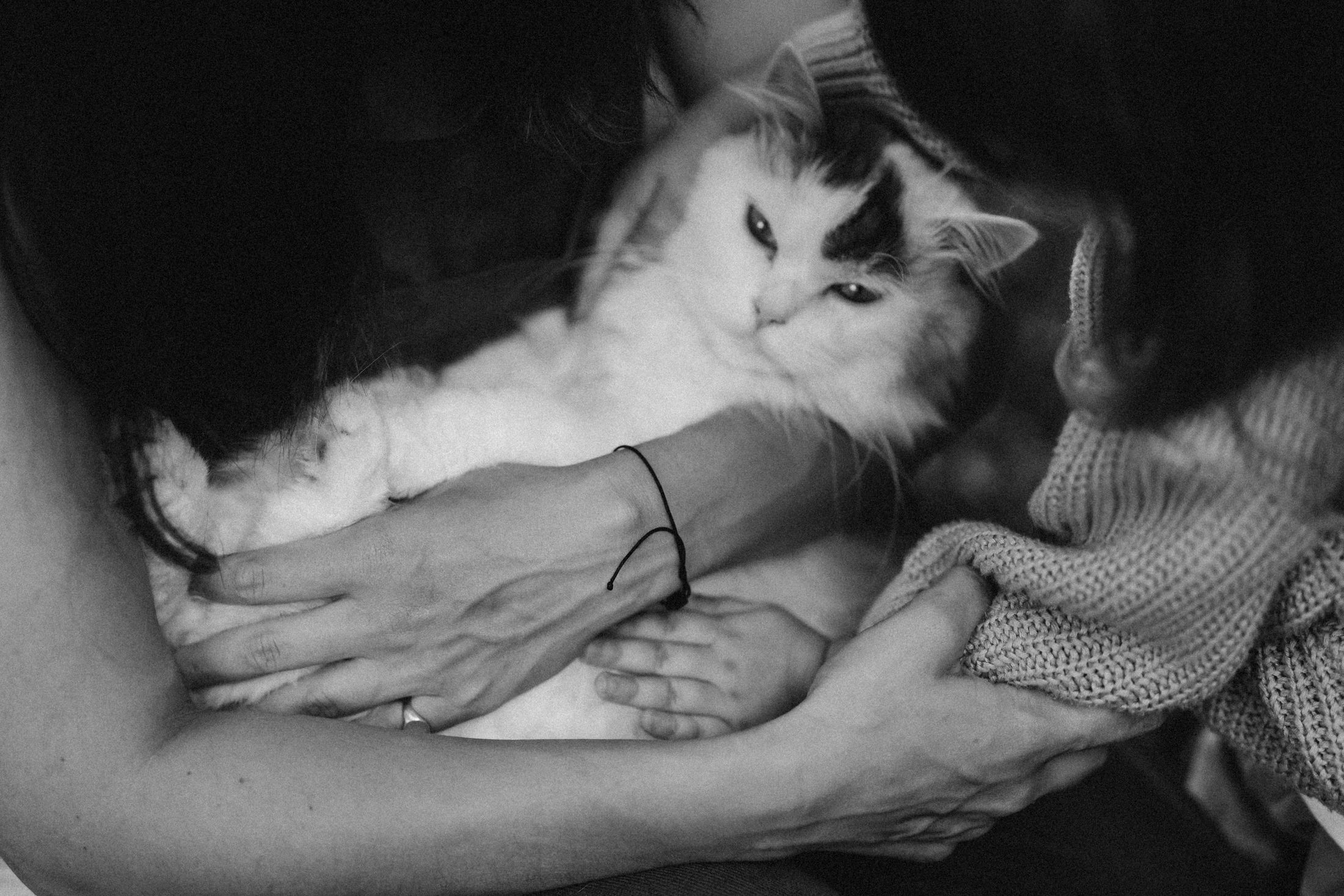 Mom with her little daughters — Wedding/Love story/Family #105