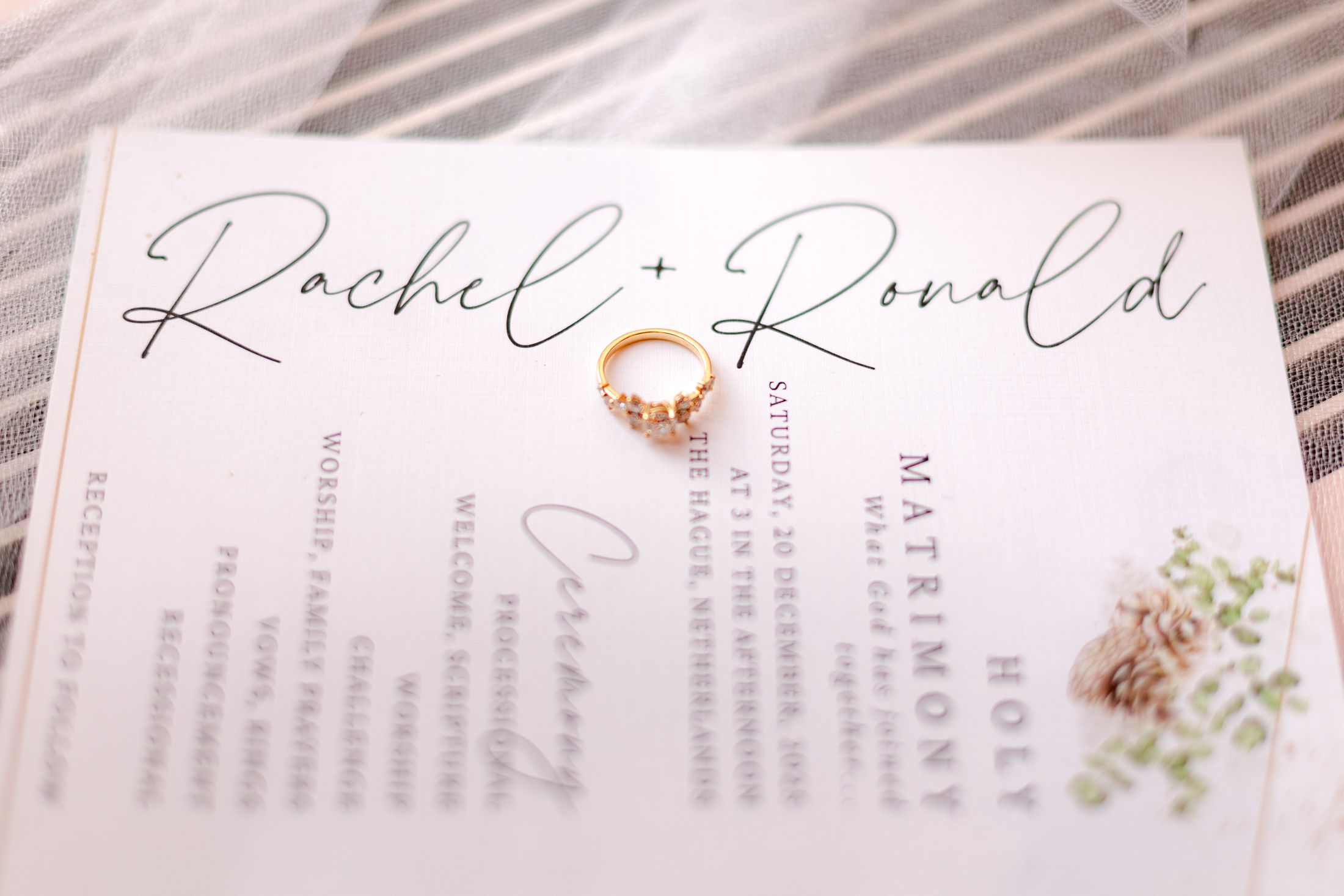 Rachel & Ronald #2