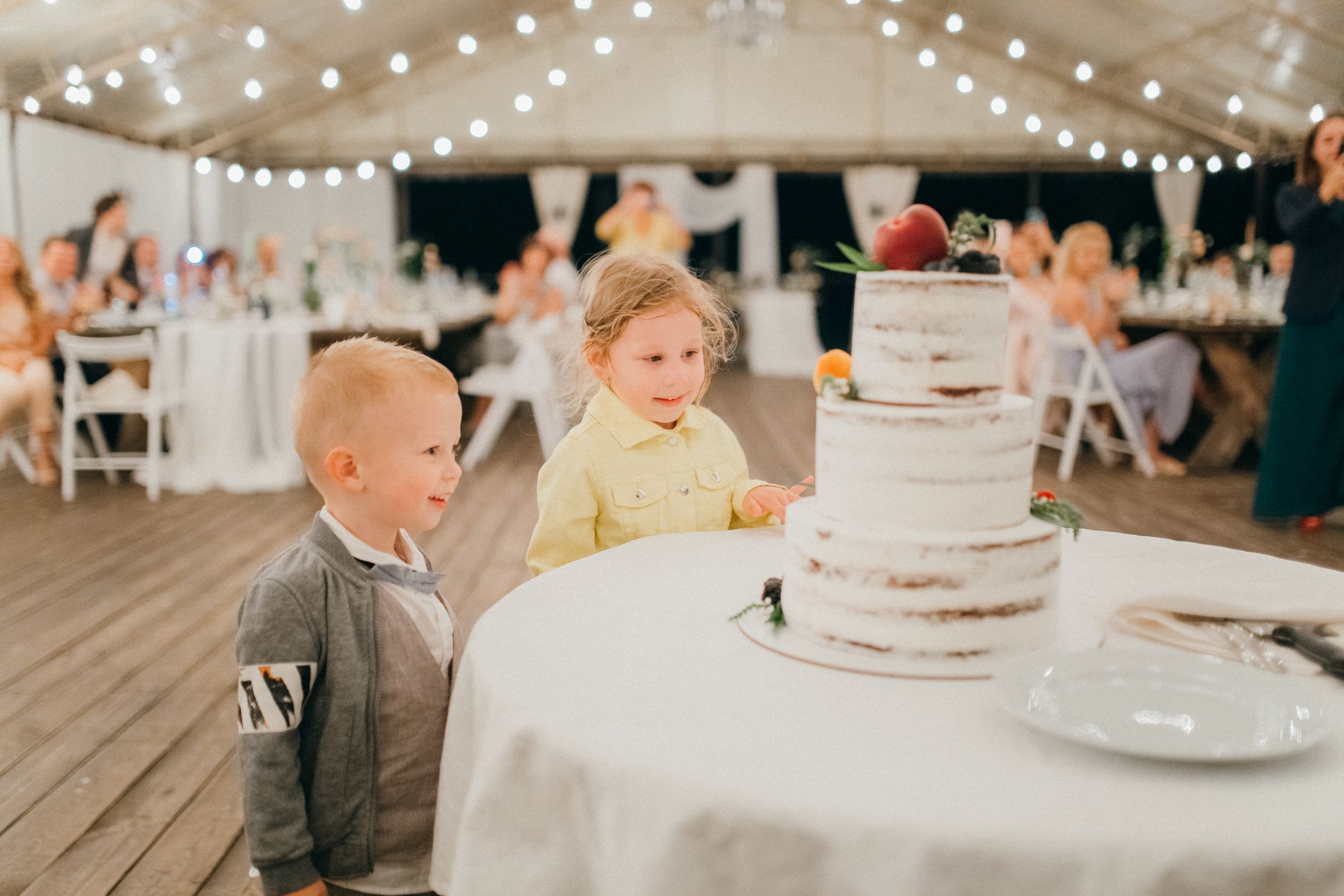 Wedding V&K — Wedding/Love story/Family #189