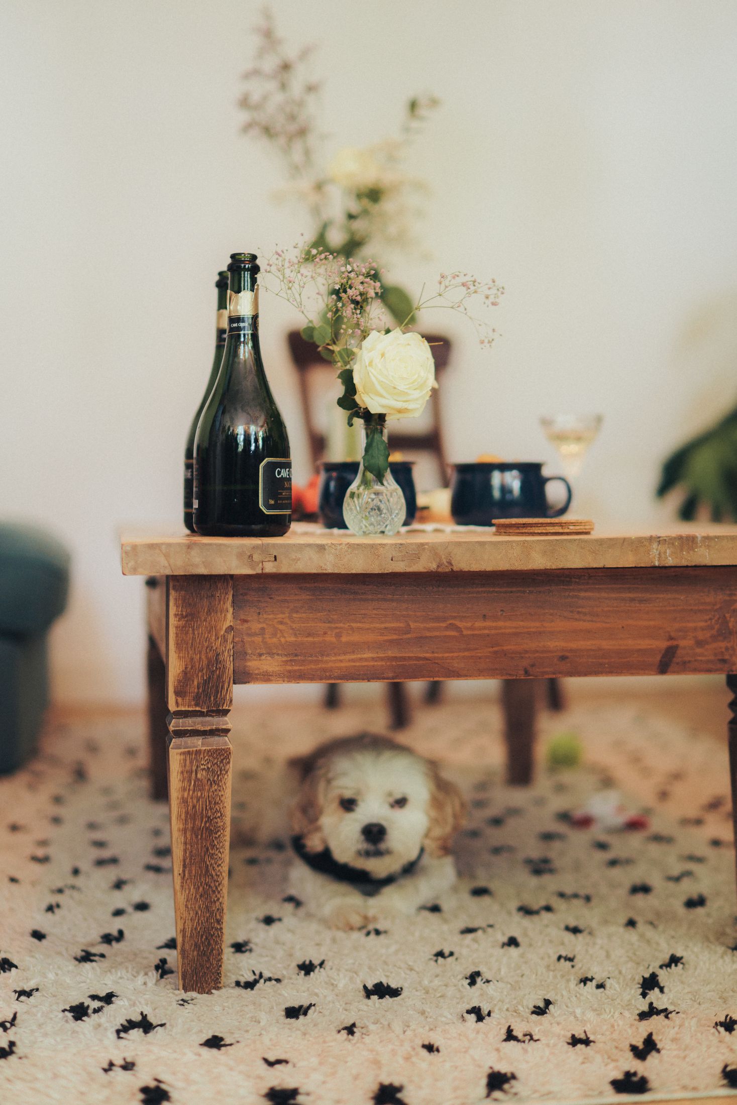 Maria&Charles | The Netherlands — 2. Wedding Medium #155