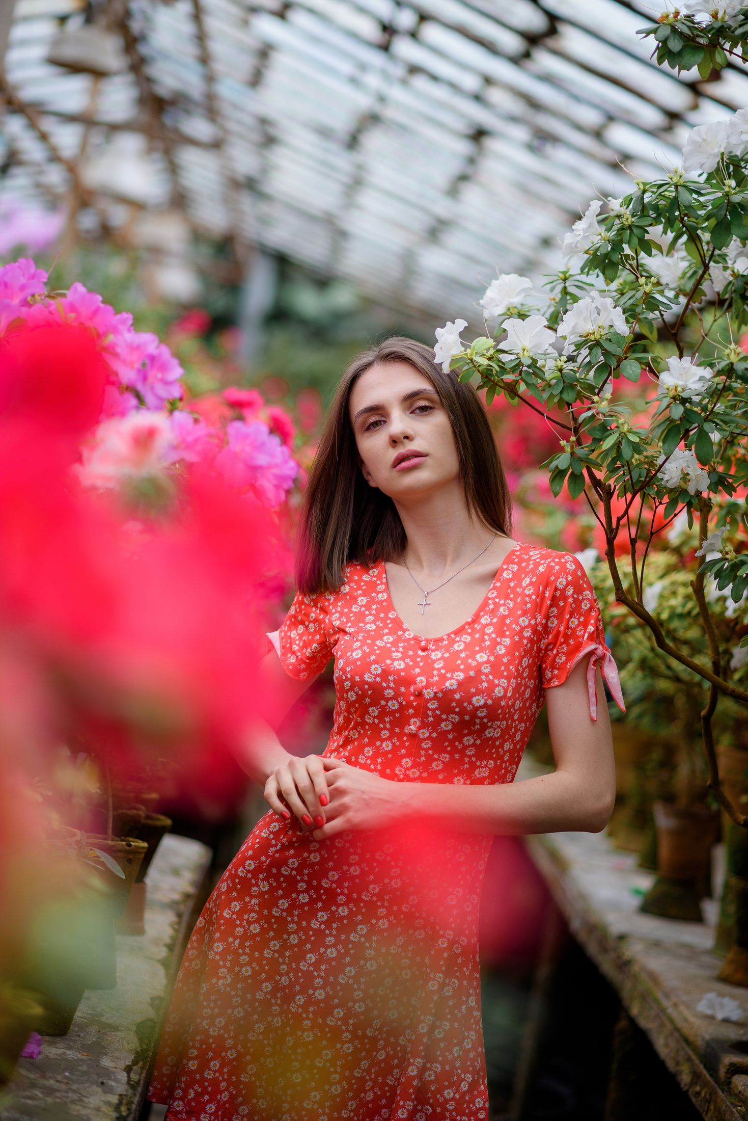 Богдана в азаліях — Весняні фотосесії #62