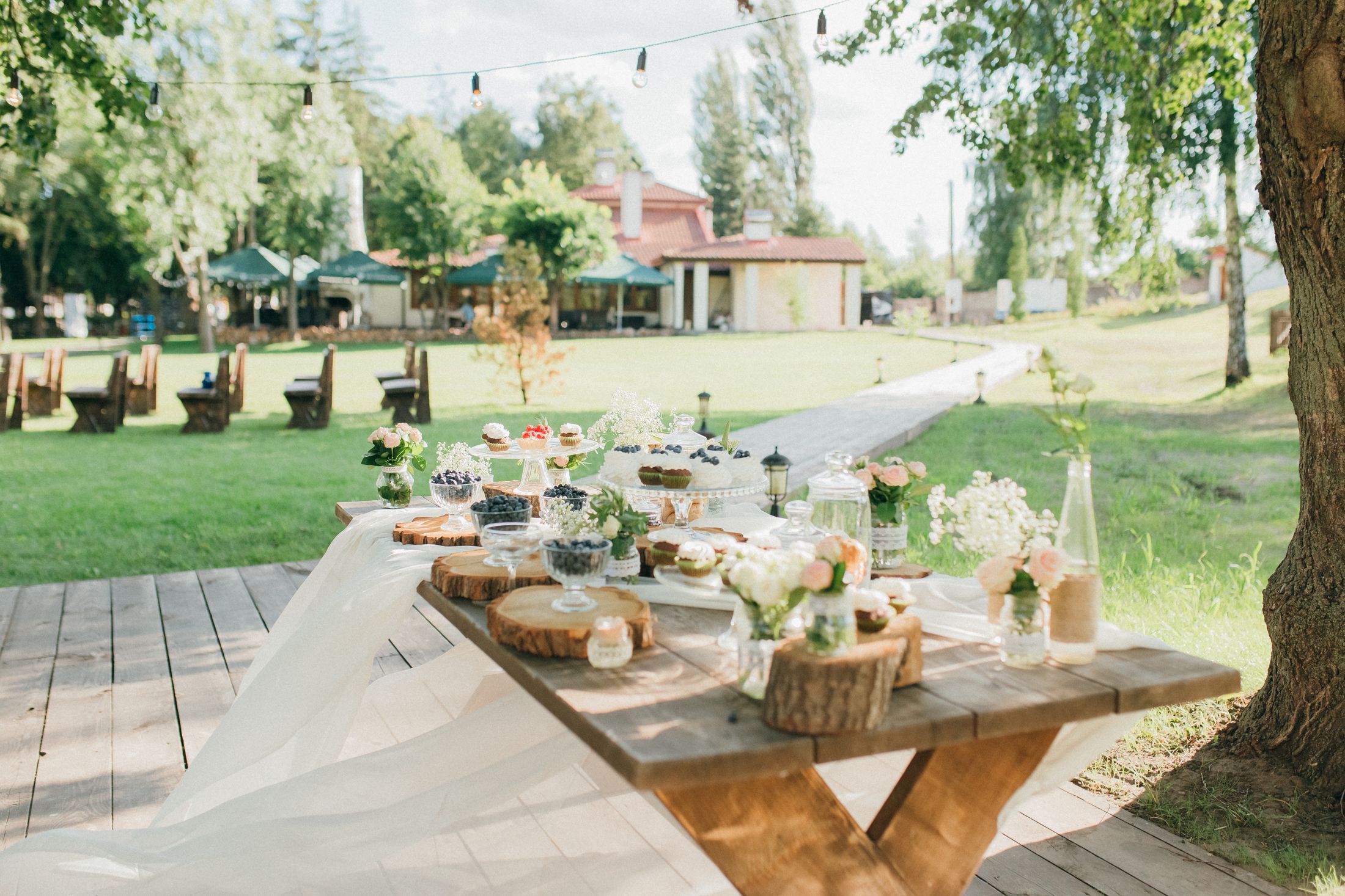 Wedding V&K — Wedding/Love story/Family #101