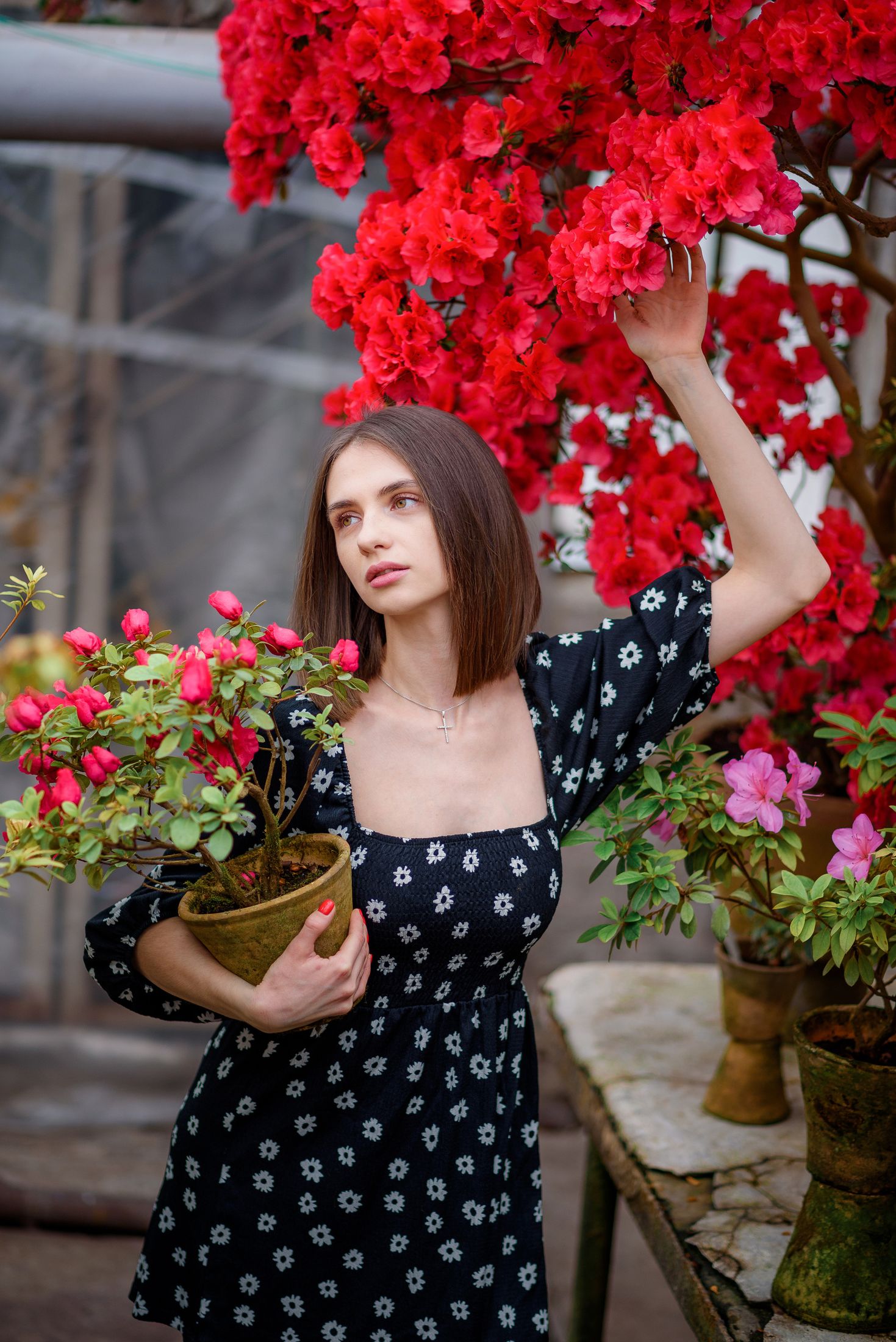 Богдана в азаліях — Весняні фотосесії #14