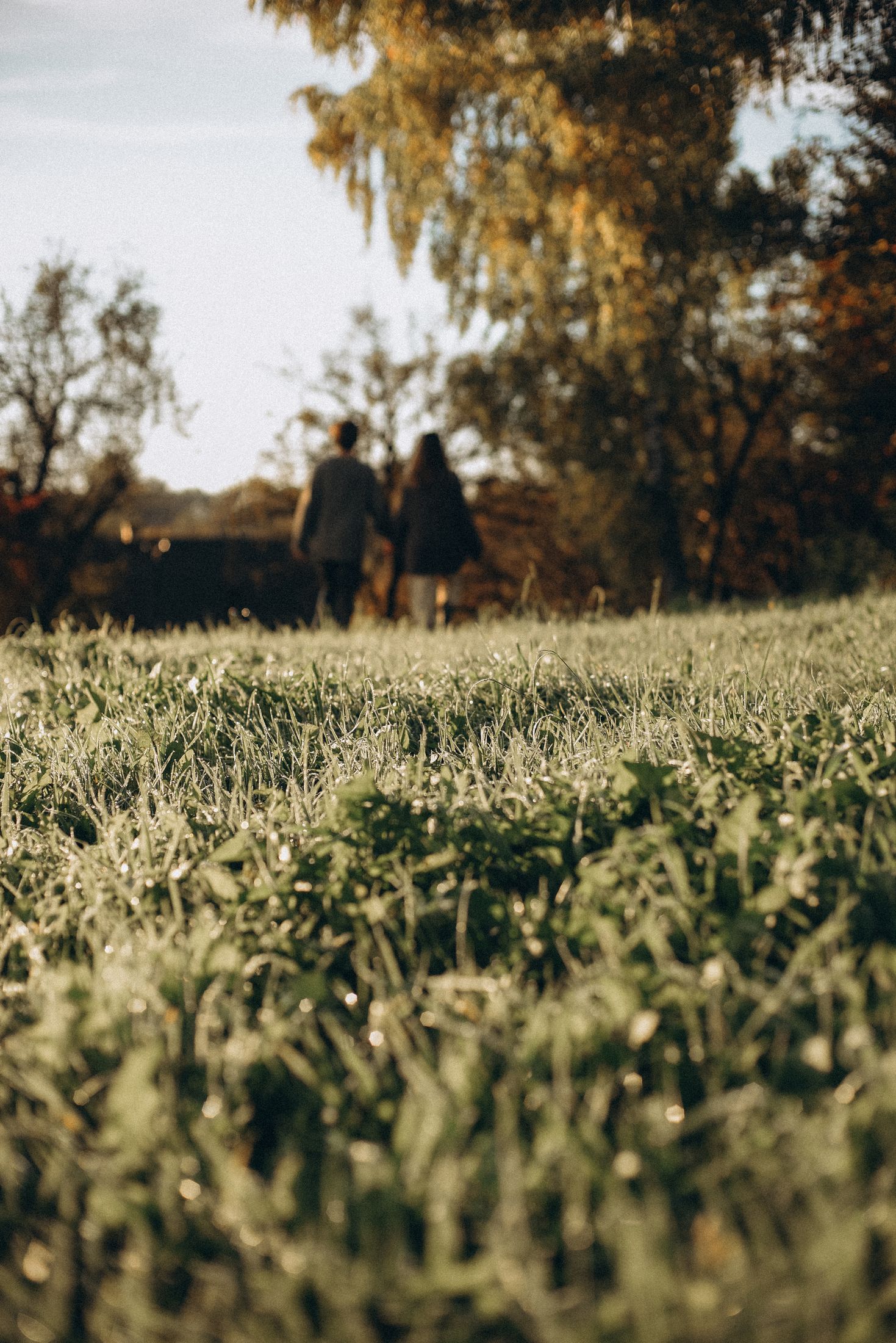 Love in the Carpathians — Wedding/Love story/Family #48